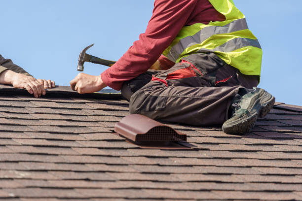 Best Roof Gutter Cleaning  in St Paul, NE