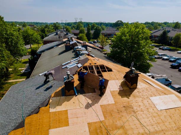 Best Commercial Roofing Services  in St Paul, NE