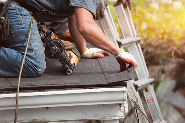 Best Local Roofing Companies  in St Paul, NE
