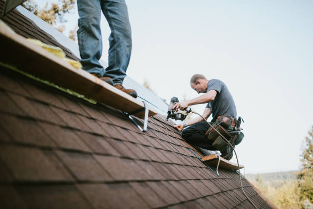Best Local Roofing Companies  in St Paul, NE