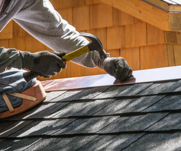 Best Metal Roofing Contractor  in St Paul, NE